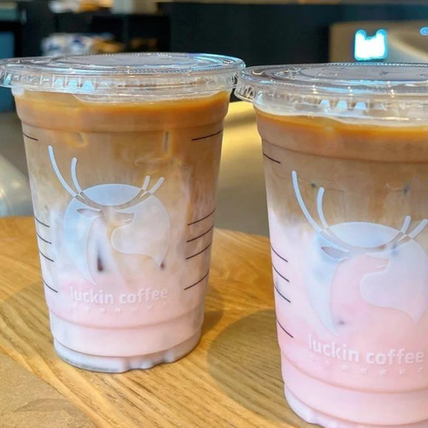 Plastic Sheet Extruder-130-1000