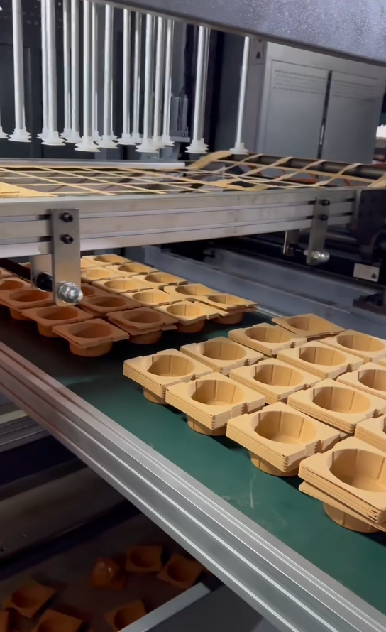 Forming plastic package Liquor tray model 730 610