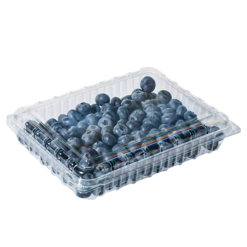 Testing PP container  mould on model 730